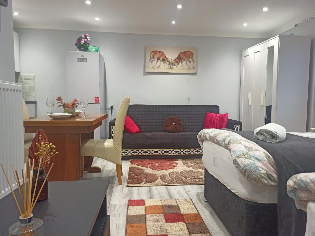 Apartment Homey In Perfect For Couples & Travelers Newport (Gwent)
