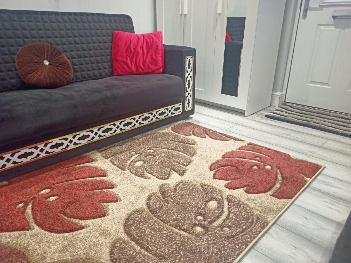 Homey In Perfect For Couples & Travelers * Newport (Gwent)
