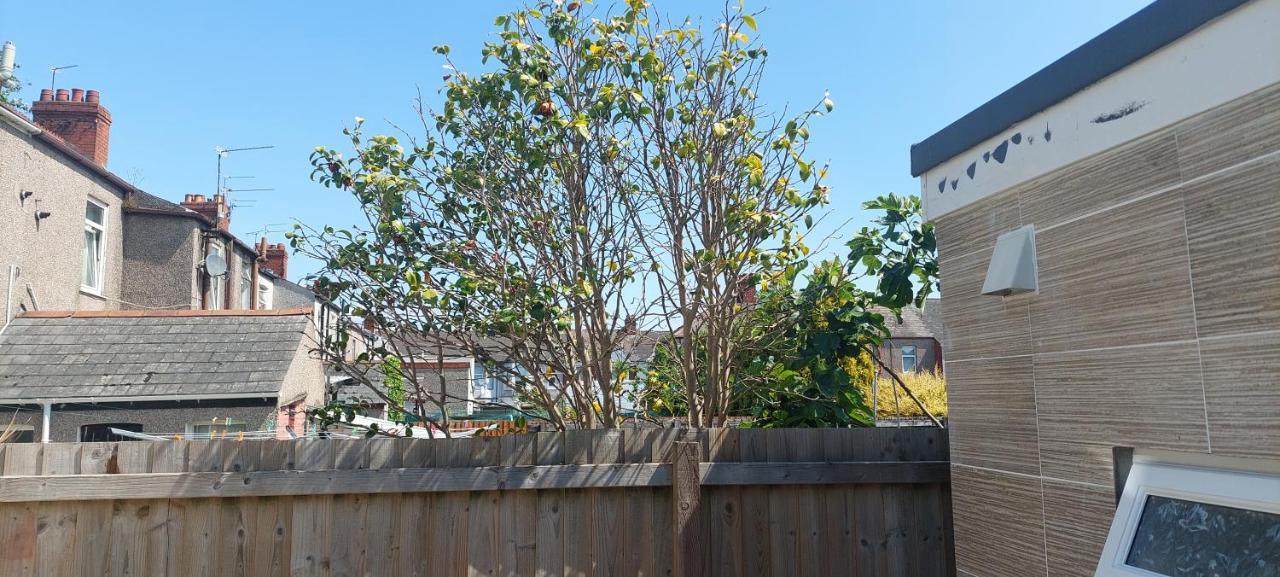 Apartment Homey In Perfect For Couples & Travelers *